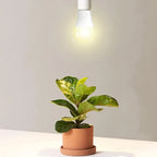 2pcs Full Spectrum Grow Light A19 Bulb 11W E26 Grow Lights for Indoor Plants Flowers Greenhouse Indore Garden Hydroponic Lamp
