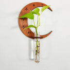 Plant Propagation Station Wall Hanging Wooden Moon Phase Plant Terrarium for Hydroponics Home Office Decor Air Plant Holder Gift