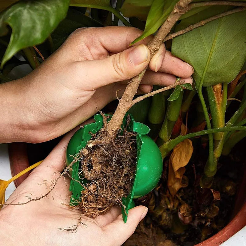 Plant Rooting Ball Gardening Supplies High Pressure Propagation Root Growing Box Cutting Grafting Ball Breeding Equipment TMZ