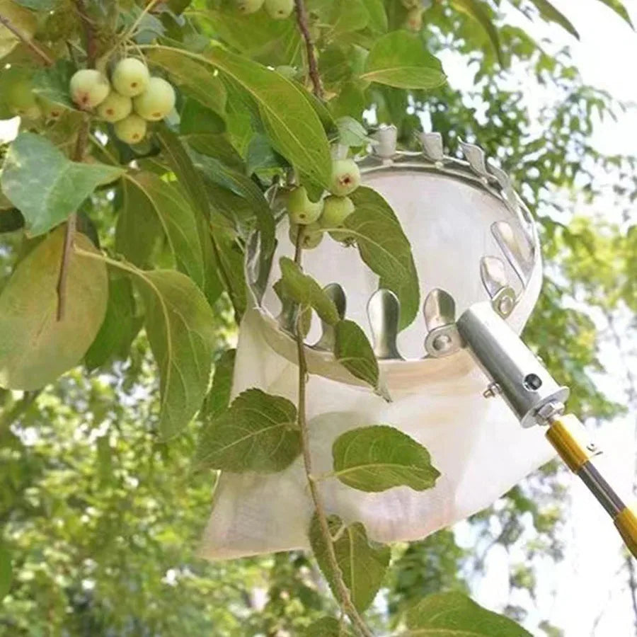 3-in-1 Fruit Harvesting Tool Set for Berry Picking with Telescopic Pole and Collection Bag Gardening Supplies