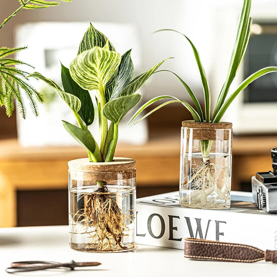 Plant Propagation Station,Hydroponic Acrylic Container Vase Planter Jars for Desks, Houses, Home Garden Decorations and Gifts