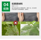 Insect-Proof Mesh Cover Round Top Plant Bird-Proof Breathable Net for Tomatoes Cucumbers Roses - Protective Gardening Cover