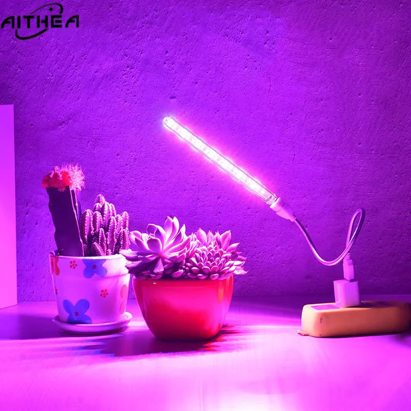 Portable USB-powered LED grow light bar with a flexible neck illuminating small potted succulents and cacti in purple light.