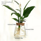 Propagation Station with Glass Vases - Tabletop Plant Rack for Hydroponic Cuttings, Home Office Decor
