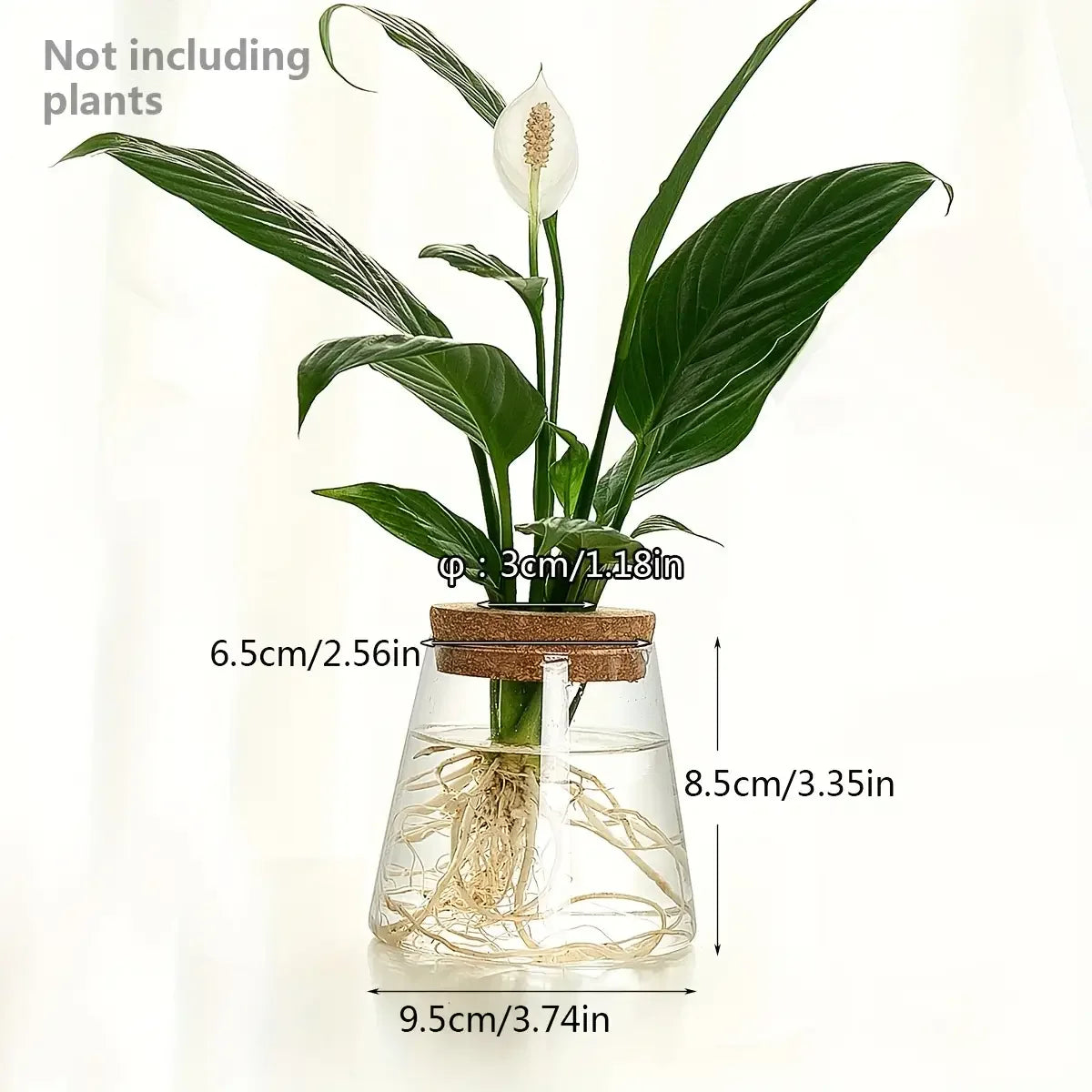 Propagation Station with Glass Vases - Tabletop Plant Rack for Hydroponic Cuttings, Home Office Decor