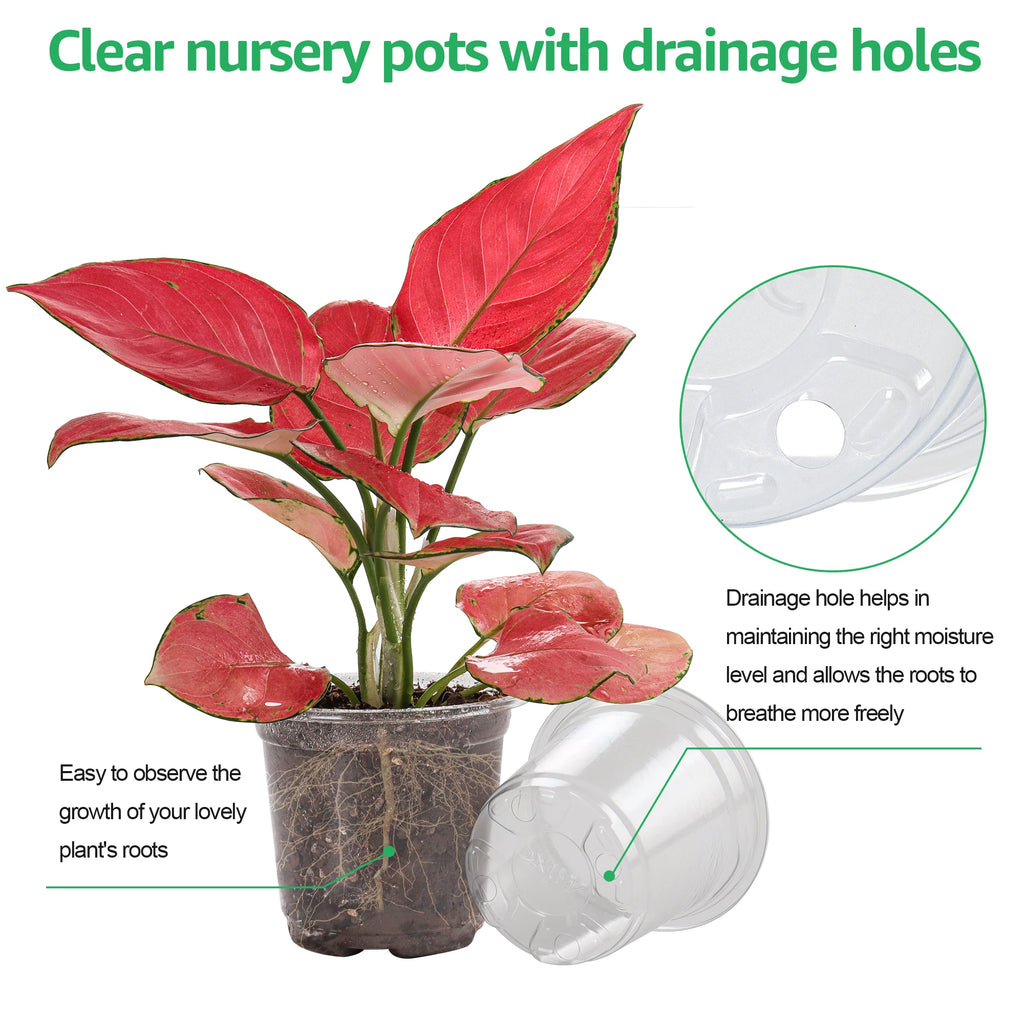 30 Packs 3.5/4/5 Inch Clear Nursery Pots, Transparent Plastic Planter with Drainage Holes, Seed Starting Pot Flower Plant Contai