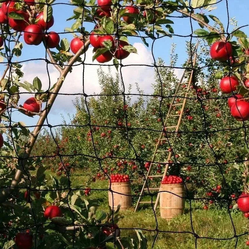 5/10M Garden Protect Netting Anti Birds Net Animals Deer Fencing Mesh for Fruits Trees Plants Stretch Durable Pest Barrier 그물망