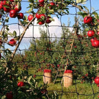 5/10M Garden Protect Netting Anti Birds Net Animals Deer Fencing Mesh for Fruits Trees Plants Stretch Durable Pest Barrier 그물망