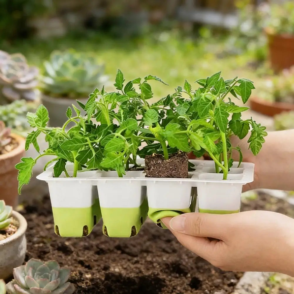 Reusable Seed Starter Trays Kit Silicone Seedling Trays For Plant Seeds Germination Tray Indoor Gardening Seedling Starter Pot