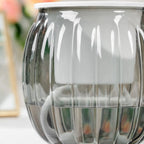 Clear Self Watering Planters Pots Modern Transparent Plants Care Pots for Garden Enthusiast Lover Gift