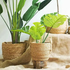 1Pcs Mini/S/M/L Grass Woven Flowerpot For Garden Terraces Small Plant Flower Basket Seedling Containers Planter Basket
