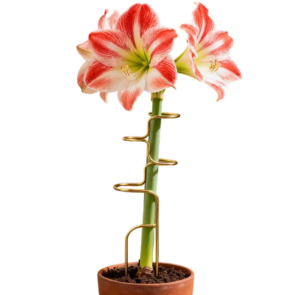 Metal Monstera Plant Support Stake, 32 cm (12.6 in)