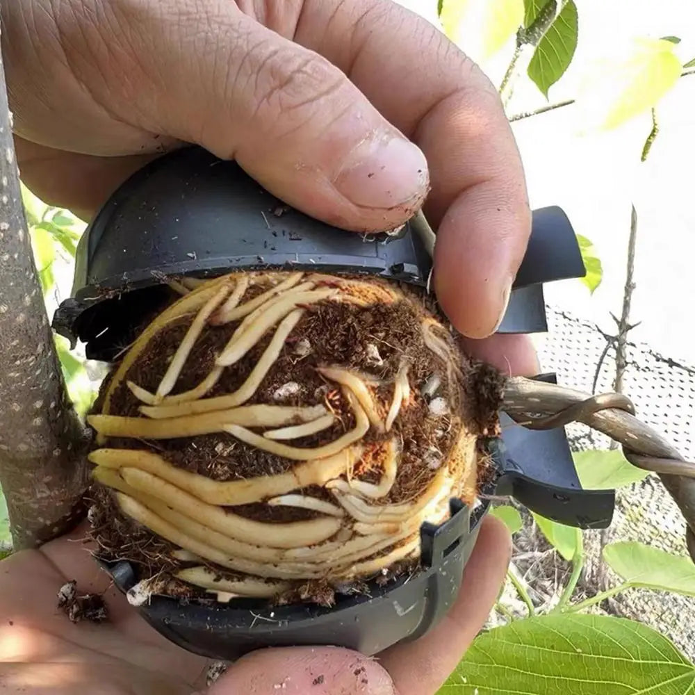 Propagation Ball Air Layering Pods Grafting Case For Fruit Tree Potting Substrate Care Indoor Gardening Aquaponics Hydroponics