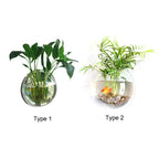 1Pc Free Punching Hydroponics Planter Home Decoration Pot Wall Hanging Mount Bubble Aquarium Bowl Fish Tank Aquarium Home Mini