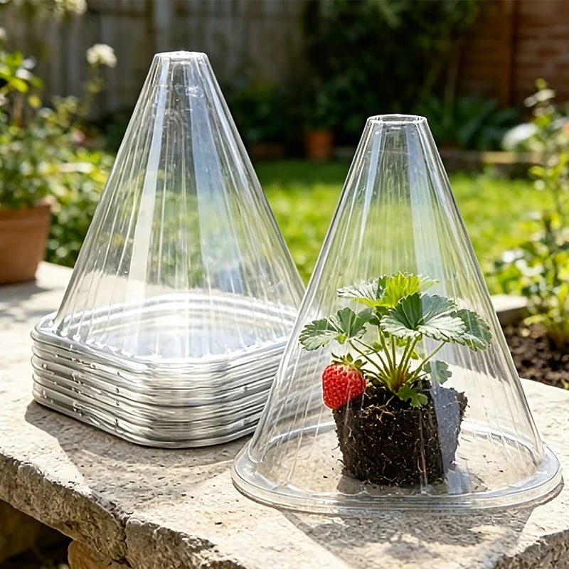 Plant Protection Collar, 20pcs - Transparent PET Material, Ideal for Vegetable Seedlings and Flower Growth, Four-season Care, Pr