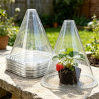 Plant Protection Collar, 20pcs - Transparent PET Material, Ideal for Vegetable Seedlings and Flower Growth, Four-season Care, Pr