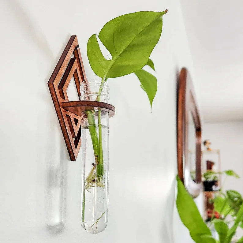 Plant Propagation Station Wall Hanging Wooden Moon Phase Plant Terrarium for Hydroponics Home Office Decor Air Plant Holder Gift