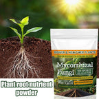 100g Plant Fertilizer Powder Plant Growth Nutrient Fertilizer Safe and Effective Rooting Supplement for Soil Culture Hydroponics