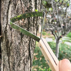 Manual Weeding Scraper with Wood Handle, Stainless Steel Tool for Removing Weeds from Lawn & Cracks