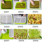 Microgreens Sprouter Tray Hydroponic/Sprouting Tray For Sprout Horticultural Hydroponic Systems Tray Garden Nursery Potted