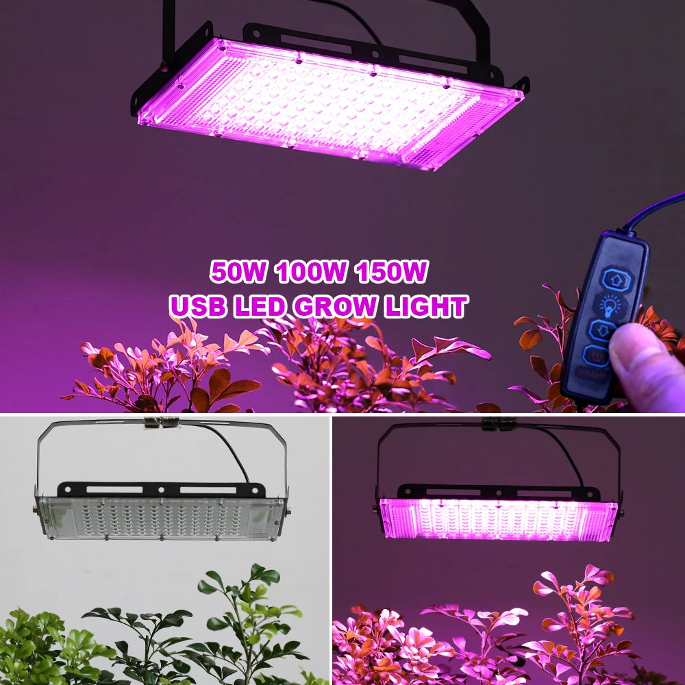 Led Grow Light 50W 100W 150W 220V Outdoor Full Spectrum LED Plant Growth Lamp Led Spotlight Projector Streetlight Led Floodlight