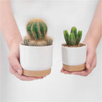 Round Cactus Succulent Plants Garden Supply Self Watering Flower Pot With Drainage Hole Flower Containers Indoor Orchid Pots
