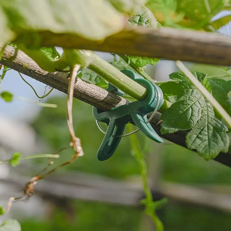 20Pcs Plant Fixed Clips Reusable Garden  Greenhouse Bracket for Fixed Plants Vine Flower  Seedling Stem Suppor t Garden Supplies