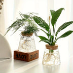 Propagation Station with Glass Vases - Tabletop Plant Rack for Hydroponic Cuttings, Home Office Decor