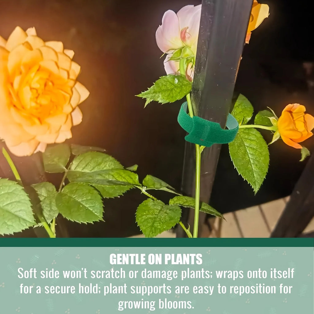 50/100pcs Reusable Adjustable Non-Slip Nylon Plant Ties with Hook and Loop Fasteners, Ideal for Gardening Applications