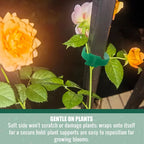 50/100pcs Reusable Adjustable Non-Slip Nylon Plant Ties with Hook and Loop Fasteners, Ideal for Gardening Applications