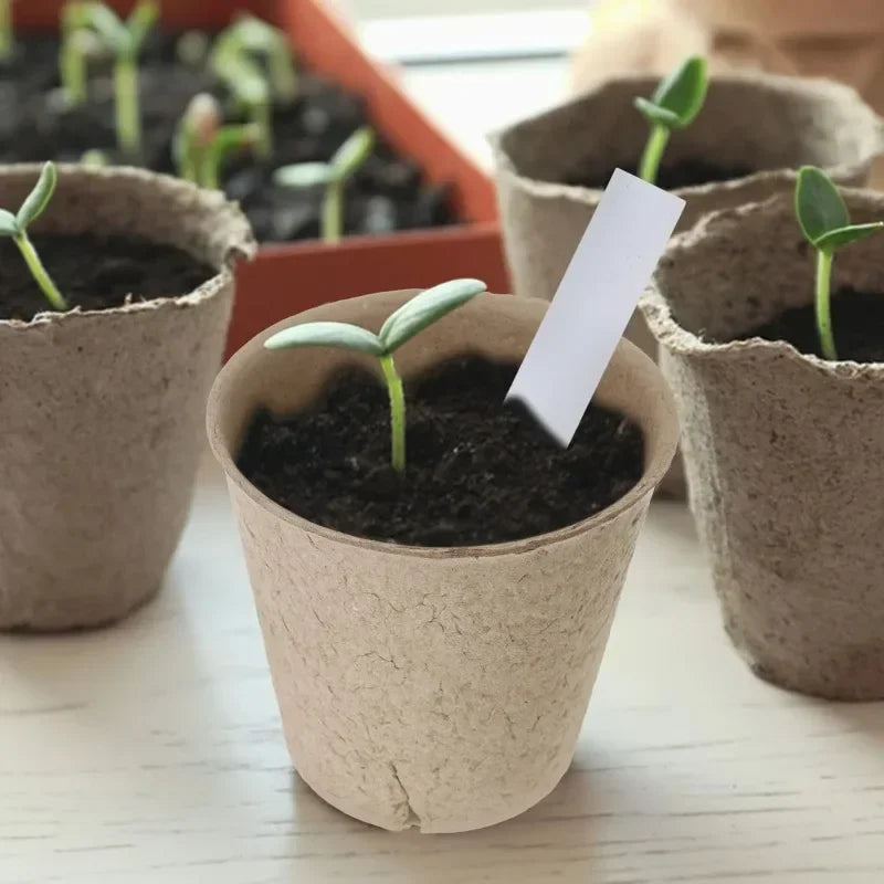 20-160PCS ﻿ 3.15 Inch Biodegradable Paper Pulp Seedling Starter Trays for Garden Planting Nursery Seed Germination Transplanting