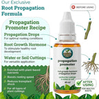 Liquid Plant Rooting Hormone Propagation Drops Root Growth Promoter Stimulator for Indoor Houseplants Water Soil Cuttings 40ml