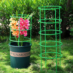 Plastic Plant Support Stakes for Flowers and Greenhouses