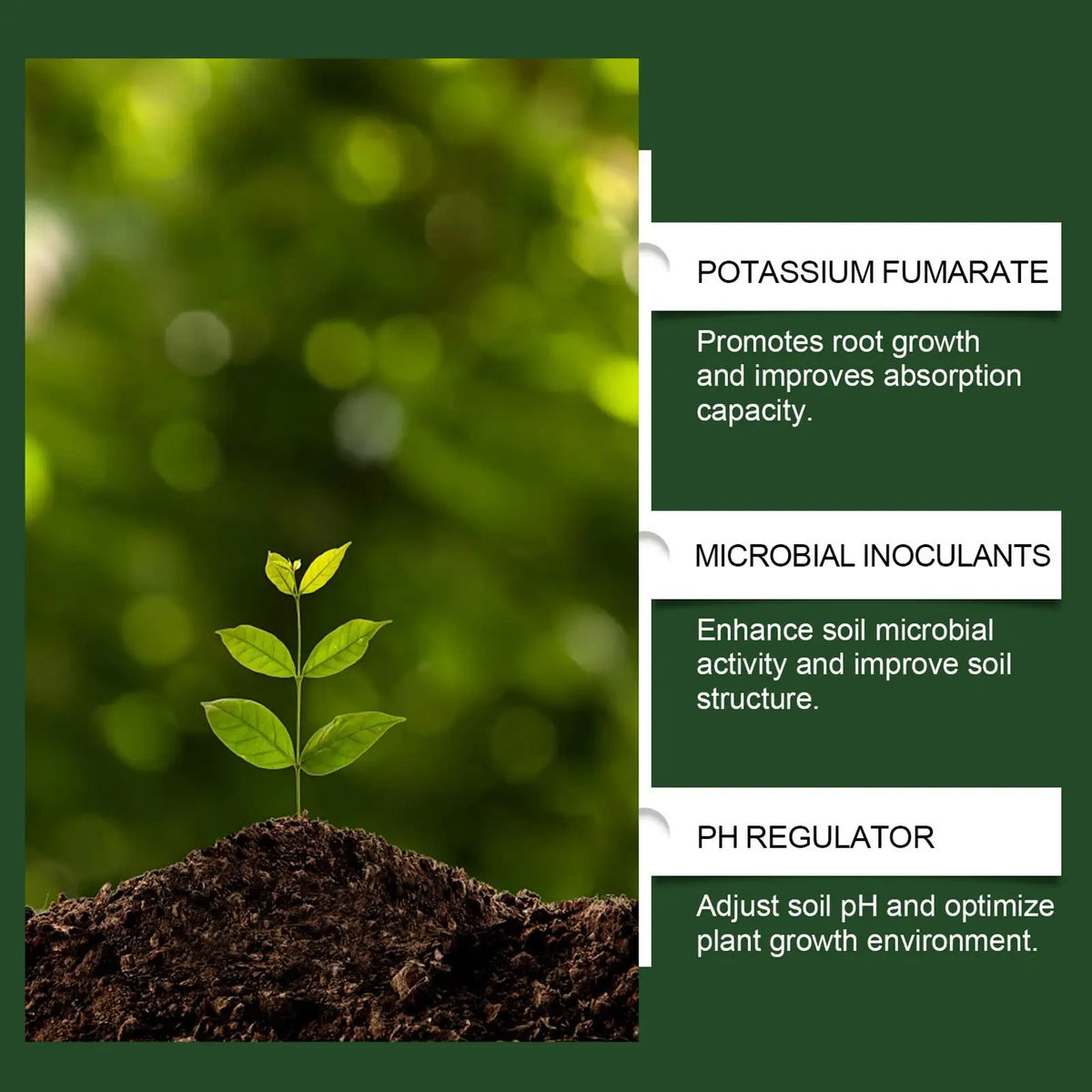 100g Plant Fertilizer Powder Plant Growth Nutrient Fertilizer Safe and Effective Rooting Supplement for Soil Culture Hydroponics