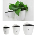 Garden Decor Garden Supply Self Watering Planter Flower Pot Plant Pot Basket