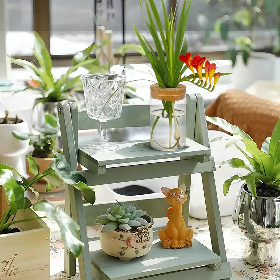 Plant Propagation Station,Hydroponic Acrylic Container Vase Planter Jars for Desks, Houses, Home Garden Decorations and Gifts