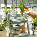 Plant Propagation Station,Hydroponic Acrylic Container Vase Planter Jars for Desks, Houses, Home Garden Decorations and Gifts