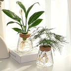 Propagation Station with Glass Vases - Tabletop Plant Rack for Hydroponic Cuttings, Home Office Decor