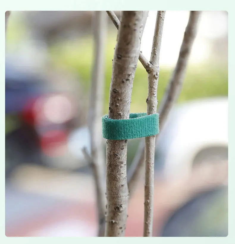10m Reusable Nylon Plant Ties Green Garden Plant Bandage Cable Ties Self Adhesive Plant Fastener Tape for Plants Garden Home