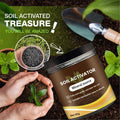 60G Organic Soil Activators And Plant Fertilizers Indoor Plant Fertilizers For Healthy Flowers And Soil Plants