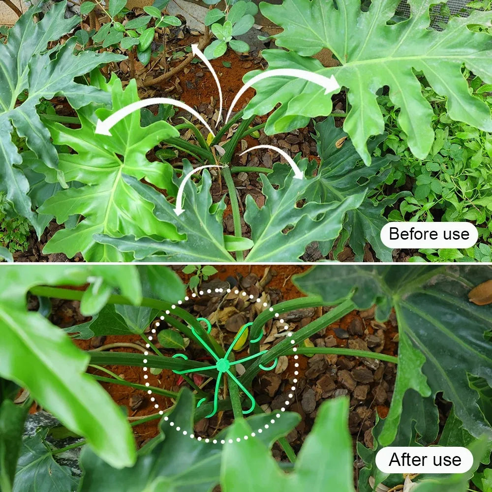 Plant Stem Support Stakes, 4-Piece Indoor Plant Supports