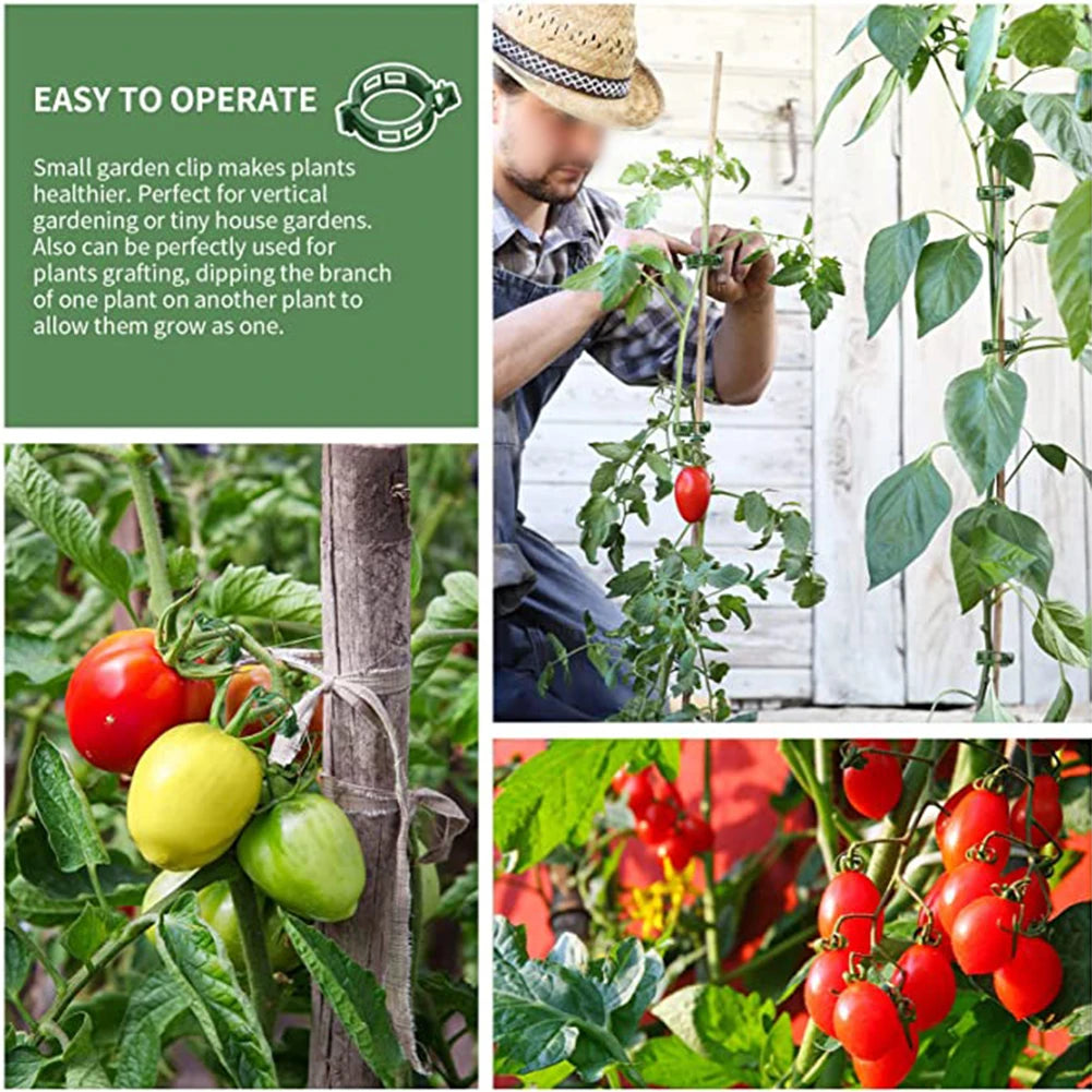 100 PCS Plant Support Clips Plastic Ties Trellis Stake Clips Garden Veggie Tomato Greenhouse Holder For Garden Tools Accessories