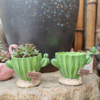 Cactus Flower Planter Pot Cute Mini Resin Cactus Flowerpot With Drainage Holes Cactus Indoor Outdoor Decor