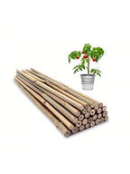 Natural Bamboo Garden Stakes for Climbing Plants