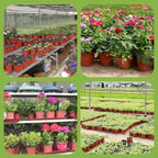 100/20x Seeding Nursery Pot Black Red Plants Nursery Pots Seedling Cups Grow Box Planters Home Garden Potted Container Wholesale