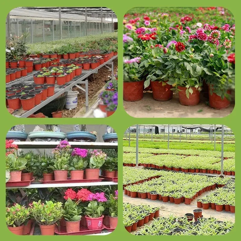 100/20x Seeding Nursery Pot Black Red Plants Nursery Pots Seedling Cups Grow Box Planters Home Garden Potted Container Wholesale