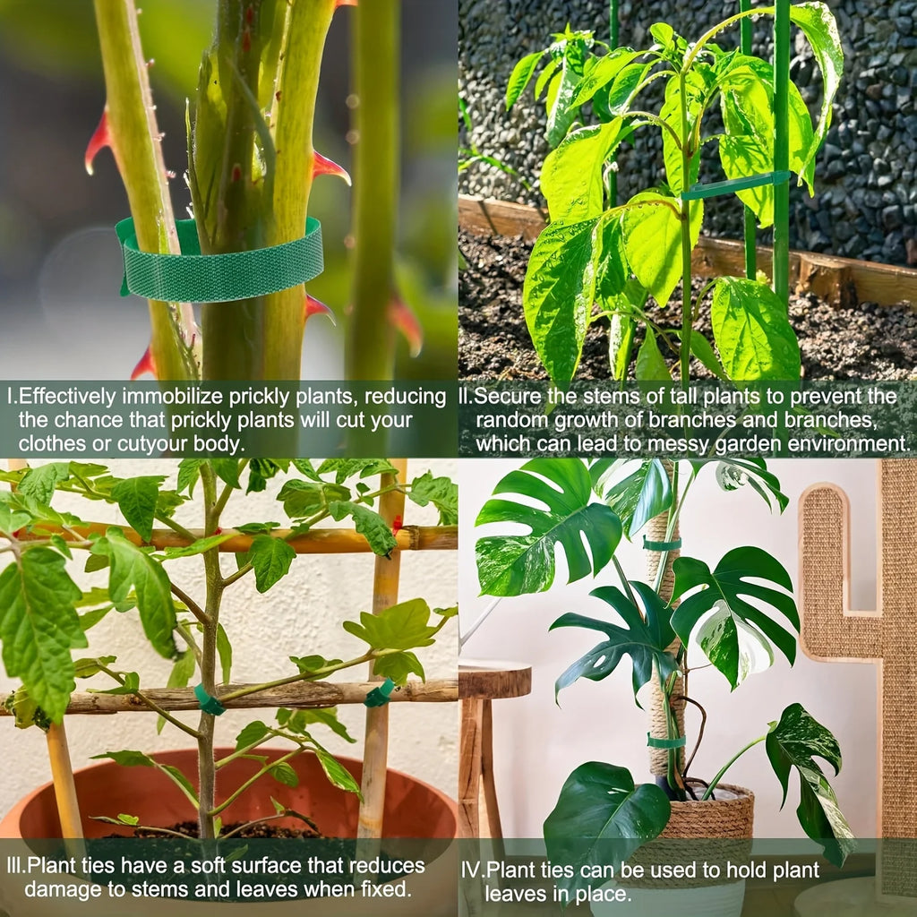 50/100pcs Reusable Adjustable Non-Slip Nylon Plant Ties with Hook and Loop Fasteners, Ideal for Gardening Applications