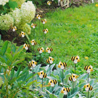 Bee Garden Stakes, 10/20/30-Piece Decorative Yard Set